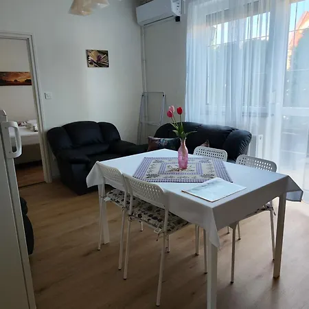 Havasi Vendeghaz Apartment