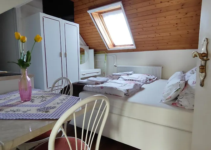 Havasi Vendeghaz דירה *