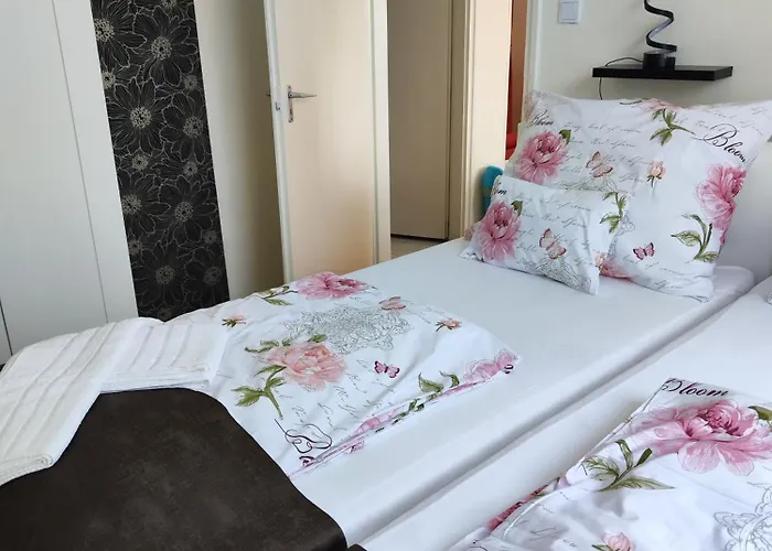 Havasi Vendeghaz גיינסדיאס