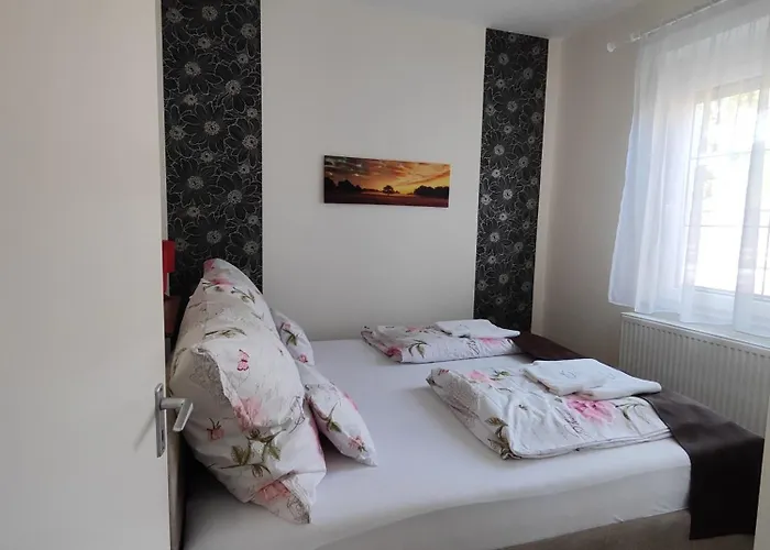 Havasi Vendeghaz גיינסדיאס