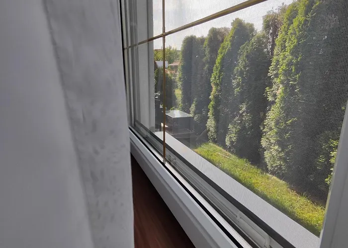 Havasi Vendeghaz גיינסדיאס