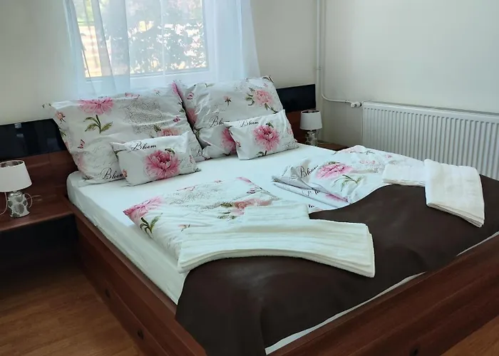 Havasi Vendeghaz דירה *