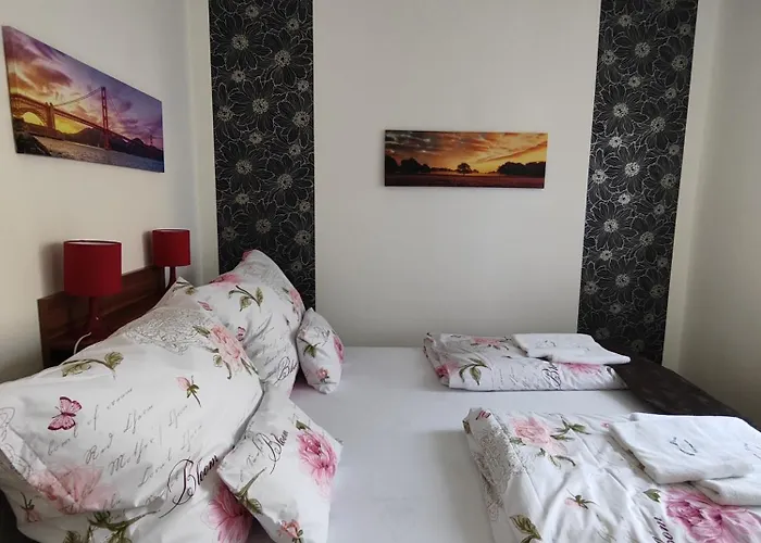 Havasi Vendeghaz גיינסדיאס