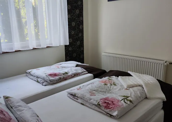 Havasi Vendeghaz דירה