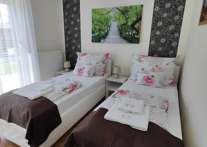 Havasi Vendeghaz * גיינסדיאס